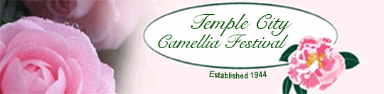 camelliafestival1