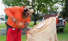 CitySealCarving