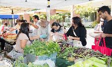 FarmersMarket