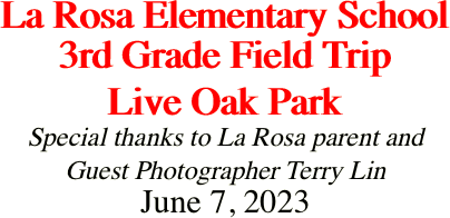 La Rosa Elementary School 3rd Grade