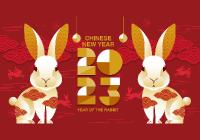 lunarnewyearchinesenewyear2023vector41887549