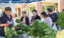 FarmersMarket